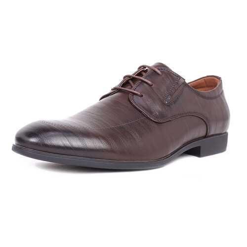 Туфли мужские T.Taccardi 03406360 коричневые 42 RU в 5 Карманов